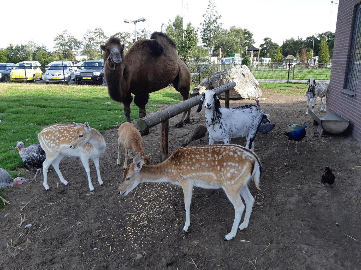 Camping Nieuw Romalo ฟัวร์เธาเซอ ภายนอก รูปภาพ
