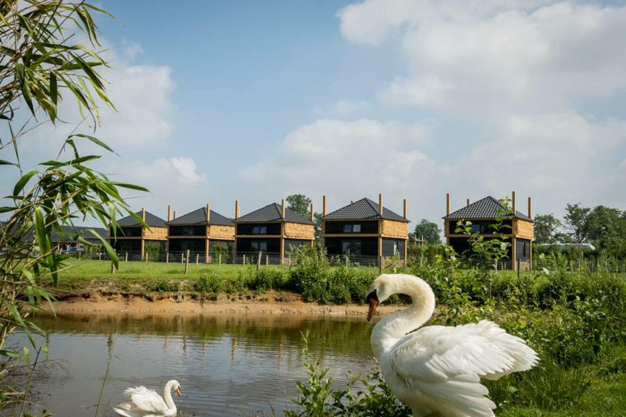 Camping Nieuw Romalo ฟัวร์เธาเซอ ภายนอก รูปภาพ